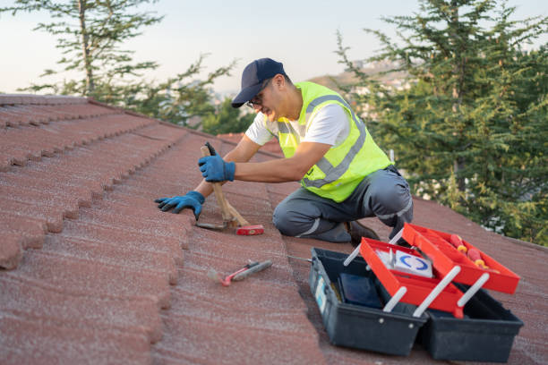 Best Roof Maintenance Services  in North Fair Oaks, CA